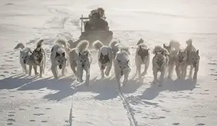 Кангерлуссуак