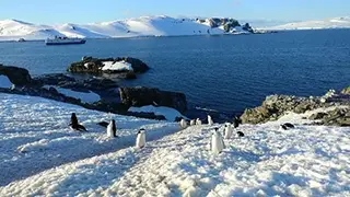 Фотографии Остров Святого Георгия