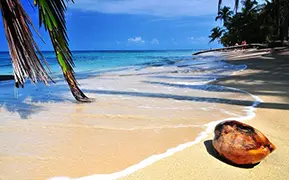 Фотографии Лимон