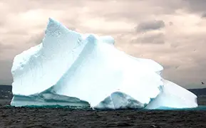 Сент-Джонс