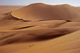 Вальвис-Бей