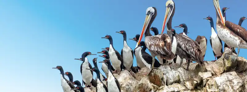 Остров Бальестас