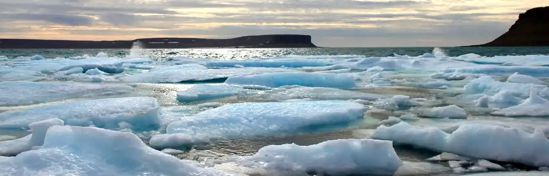 Остров Бичи