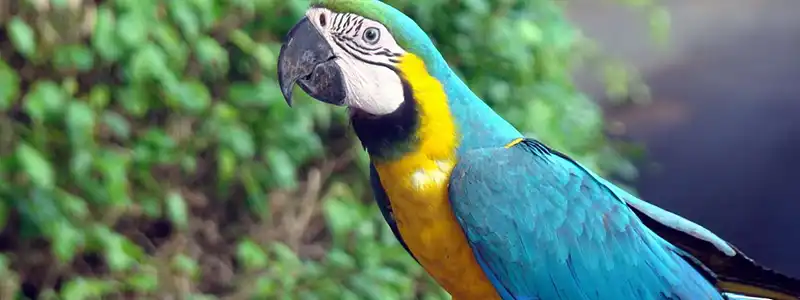 Остров Сан-Хосе