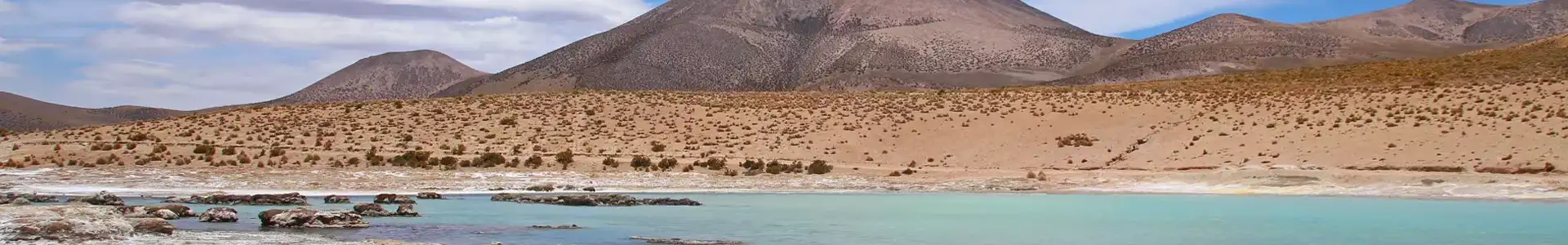 Арика