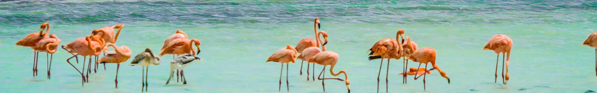 Кралендейк