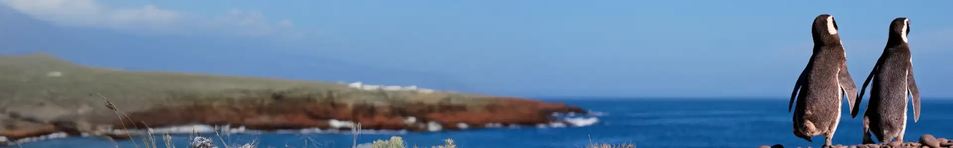 Пуэрто-Мадрин