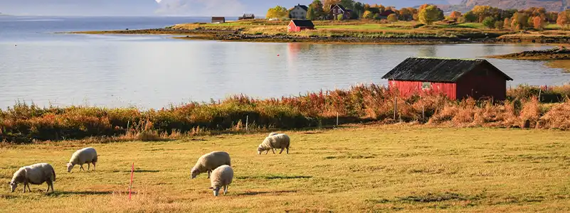 Stokmarknes
