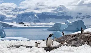 Фотографии Антарктика