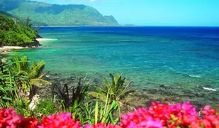 immagine di Гавайи