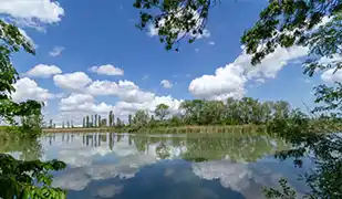 Фотографии По