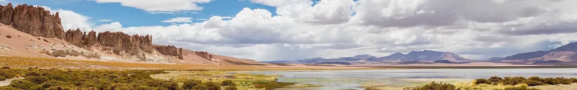 Южная Америка