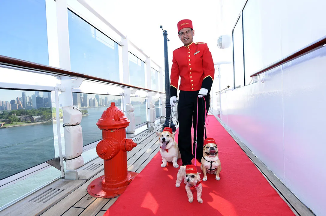 Фото 6 Queen Mary 2