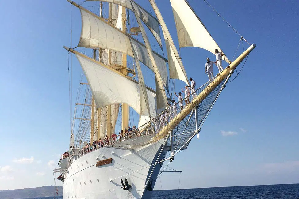 Фото 2 Star Flyer