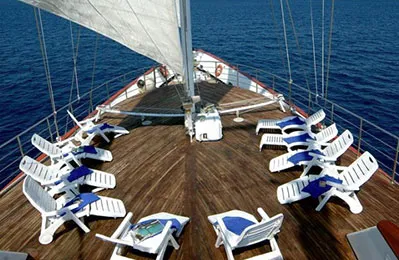 Фото 4 M/S Panorama