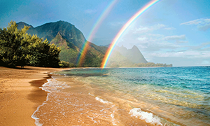 Фотографии Hawaii